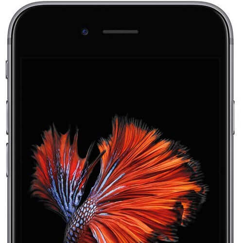 iPhone 6s 16GB Silver, available online at Fonezone.me