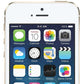 Best Apple iPhone 5s 32GB Gold
