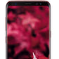 Samsung Galaxy S8 128GB 4GB Ram Dual Sim 4G LTE Burgundy Red Price in
