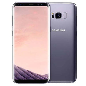 Samsung Galaxy S8 (64GB Storage) 4G LTE Arctic Silver Dual Sim | Shop now at