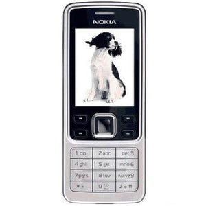 Nokia 6300